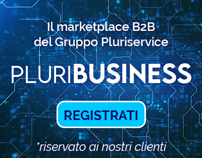 pluribusiness marketplace b2b